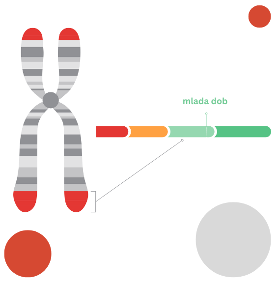 Genetskih predispozicija (3)